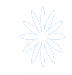 B体育官网 (中国)有限公司 - 官方网站